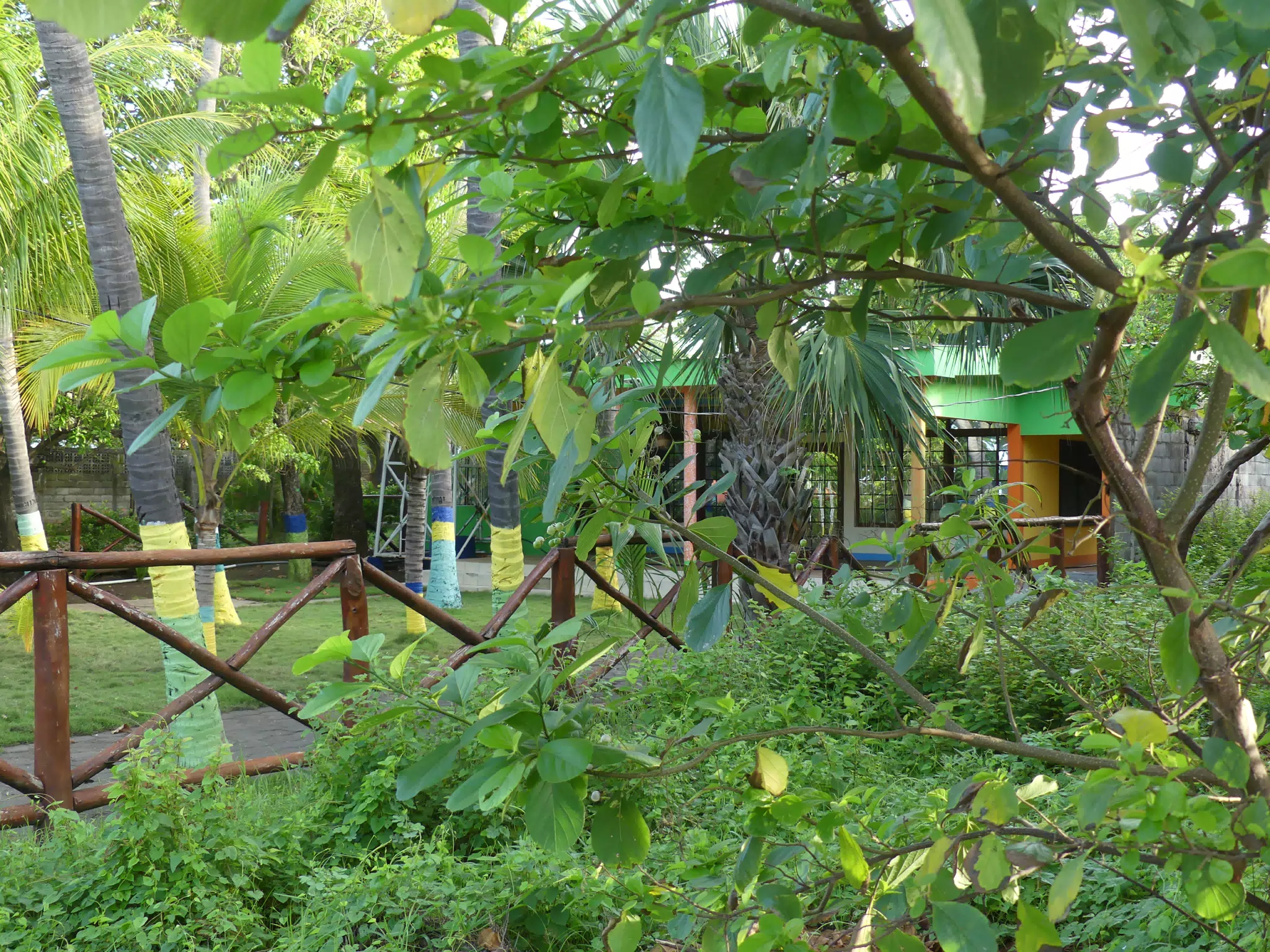 Morning Scenes of Las Penitas