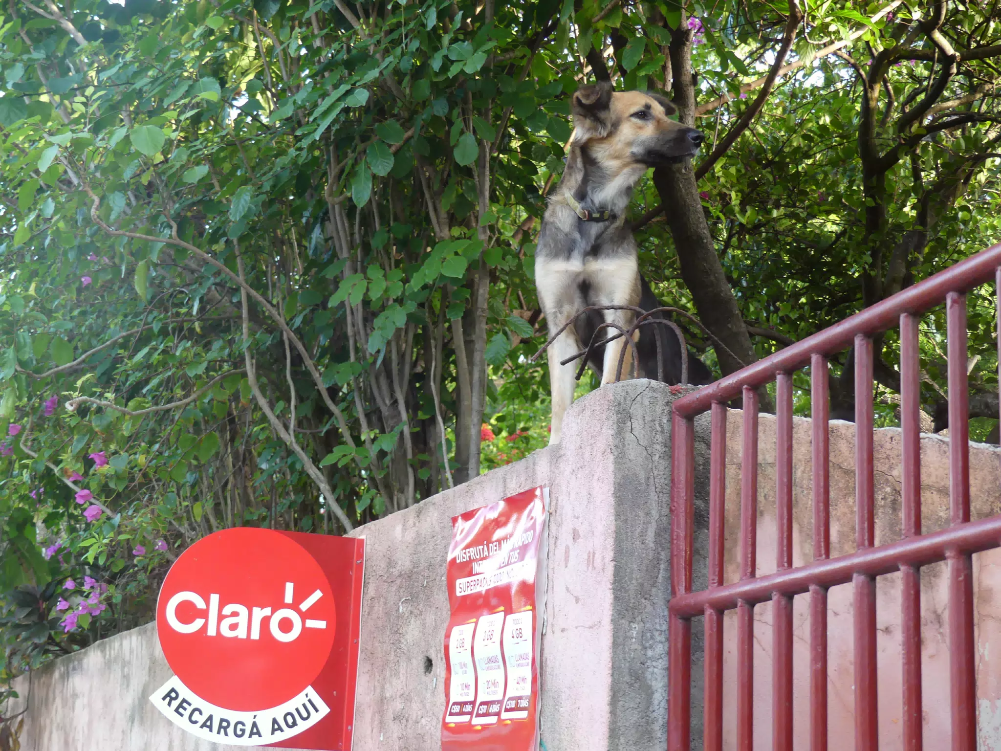 Morning Scenes of Las Penitas