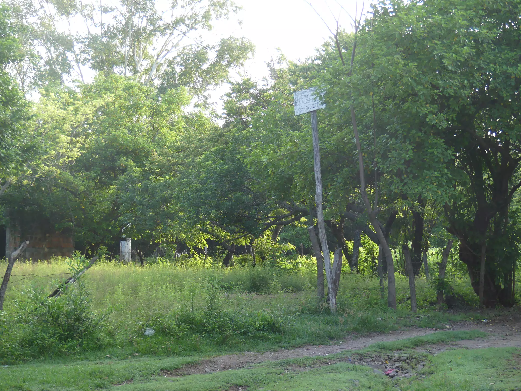 Morning Scenes of Las Penitas