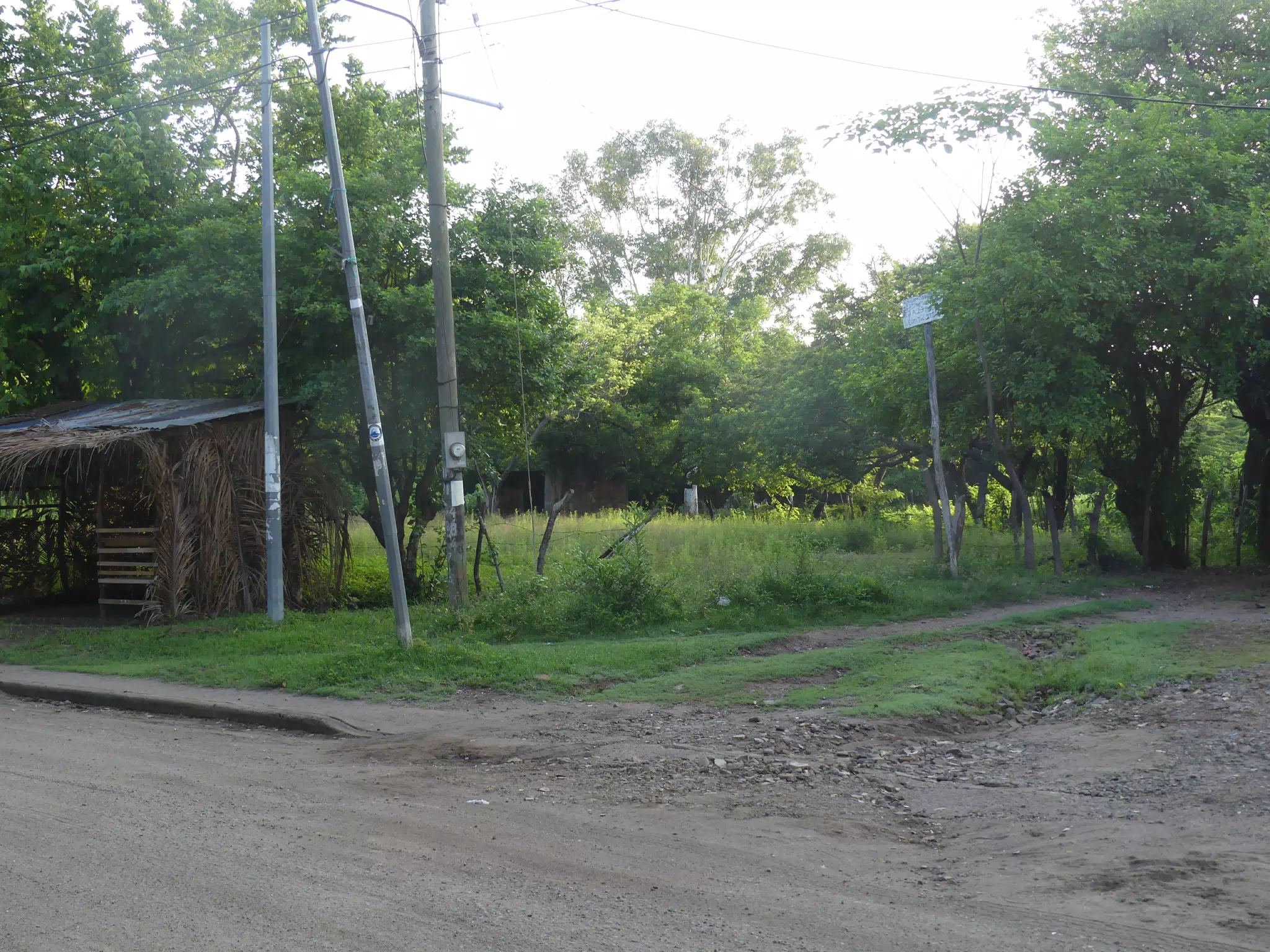 Morning Scenes of Las Penitas
