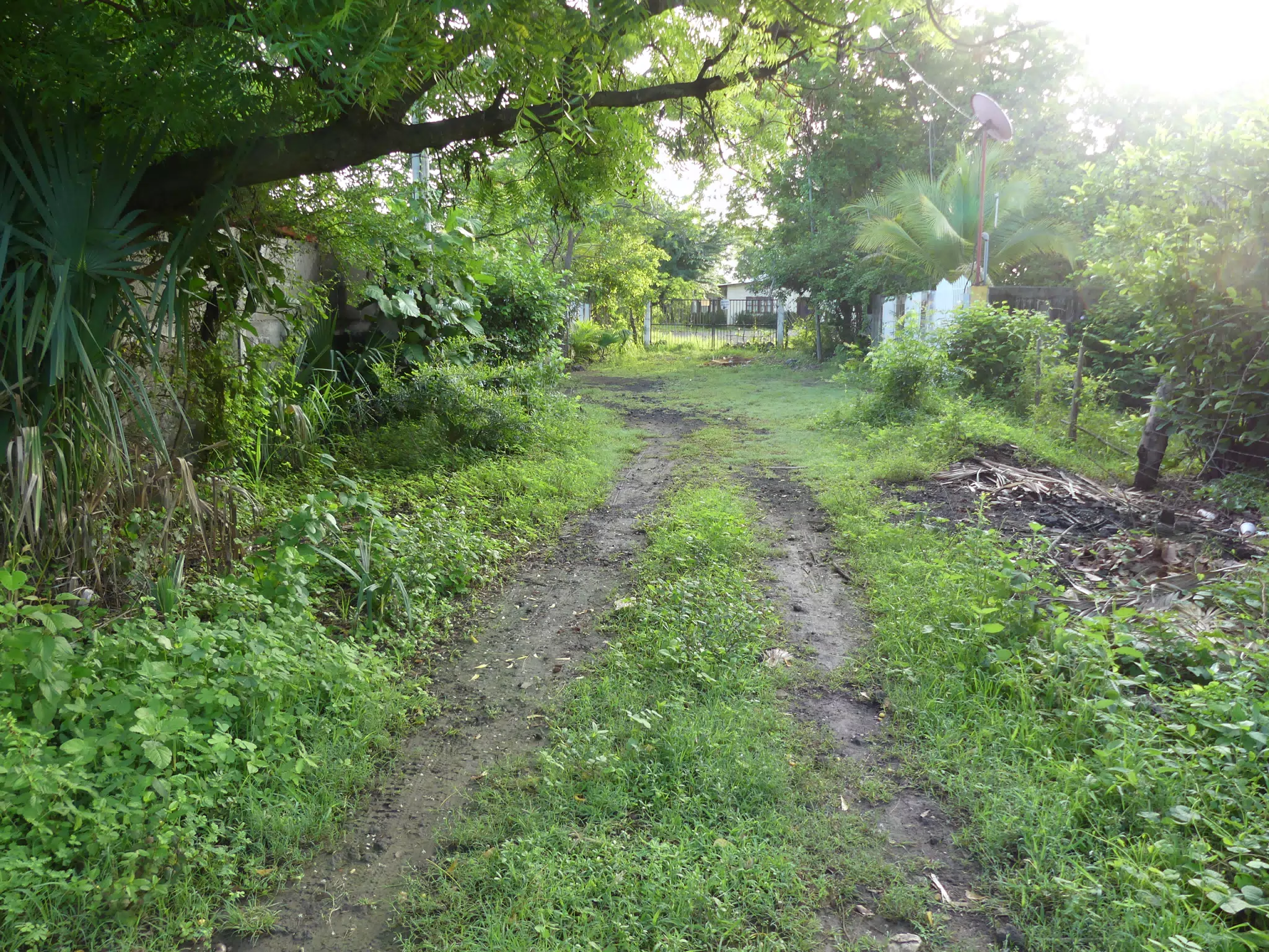 Morning Scenes of Las Penitas