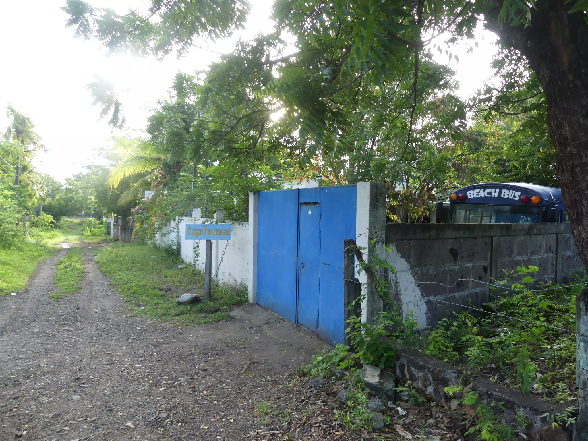 Morning Scenes of Las Penitas