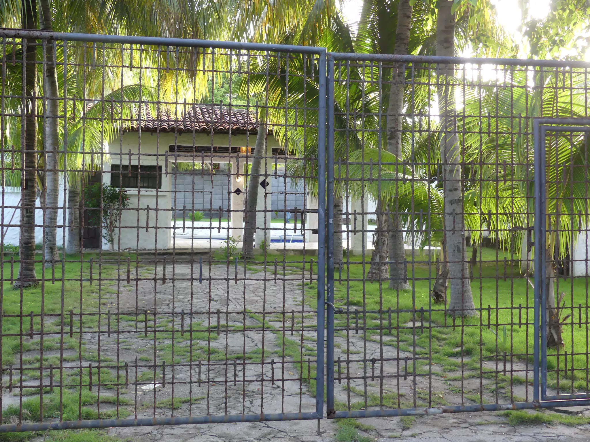 Morning Scenes of Las Penitas