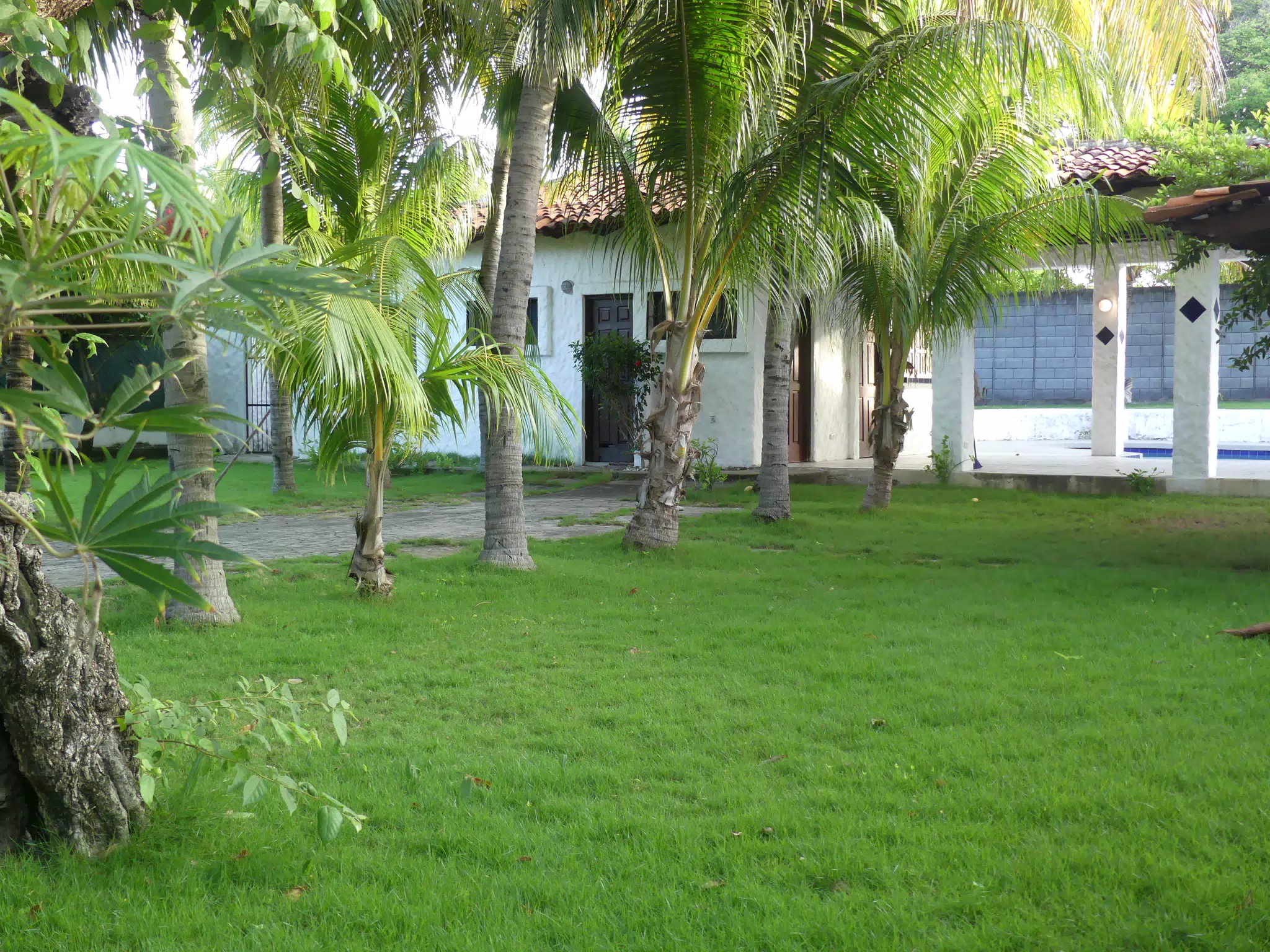 Morning Scenes of Las Penitas