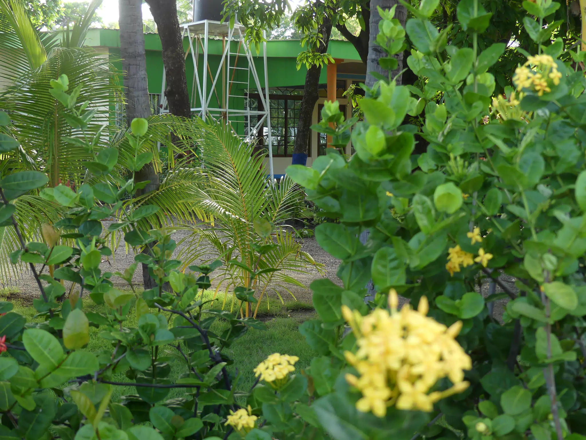 Morning Scenes of Las Penitas