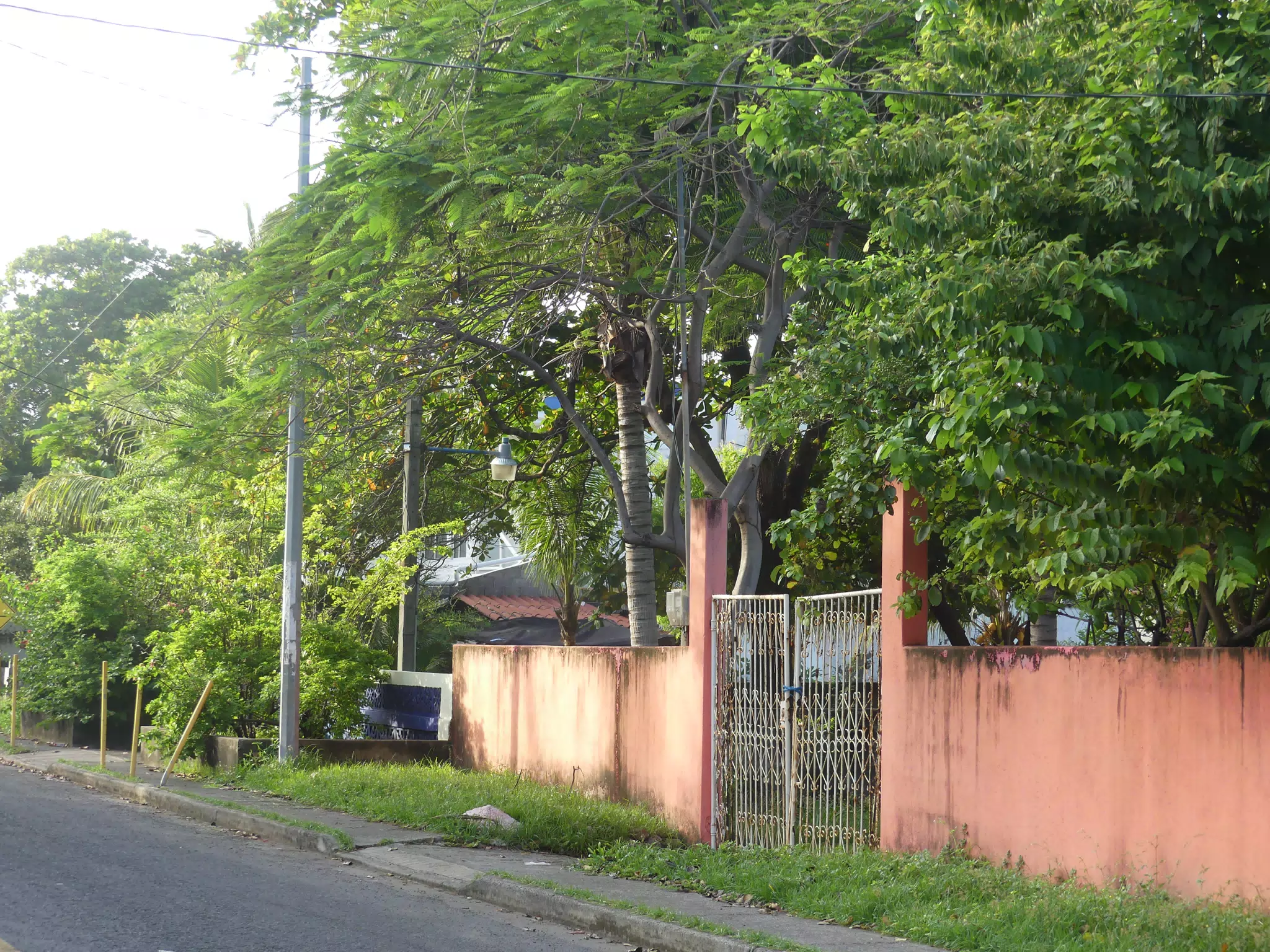 Morning Scenes of Las Penitas