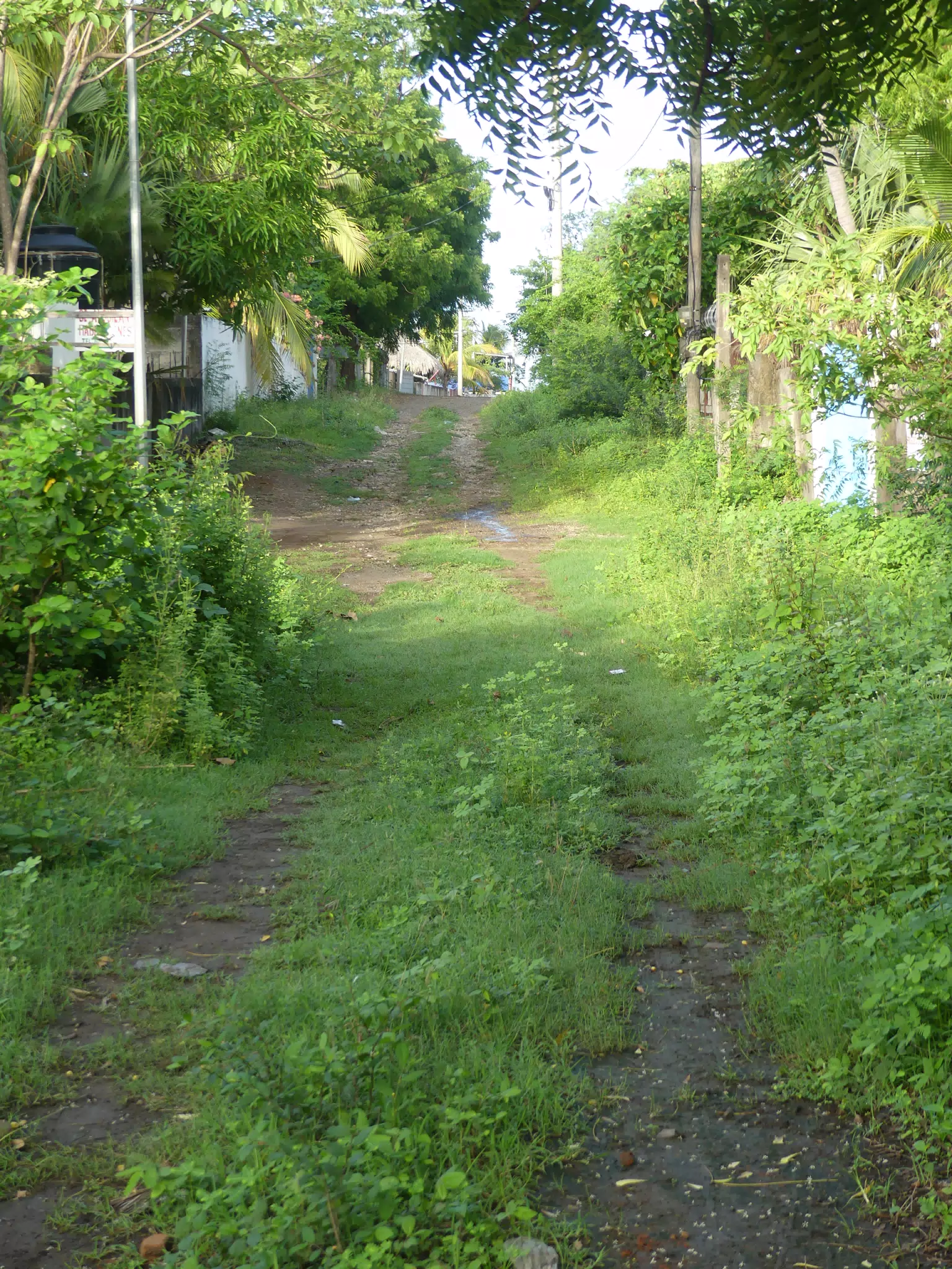 Morning Scenes of Las Penitas