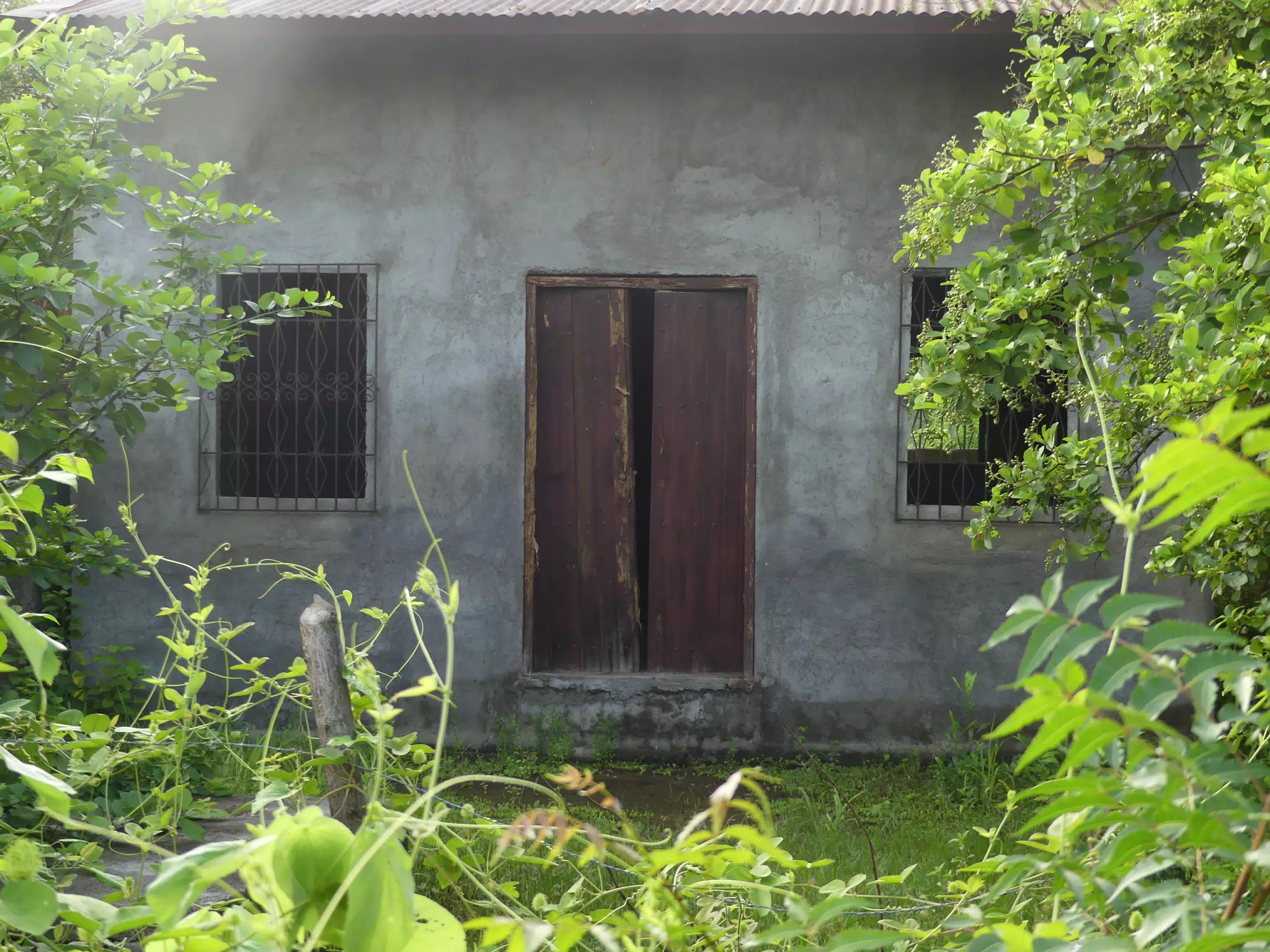 Abandoned Overgrown Doorway