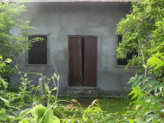 Abandoned Overgrown Doorway