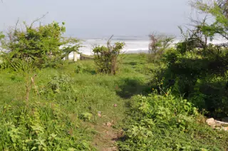 Morning Photowalk of Las Penitas Nicaragua