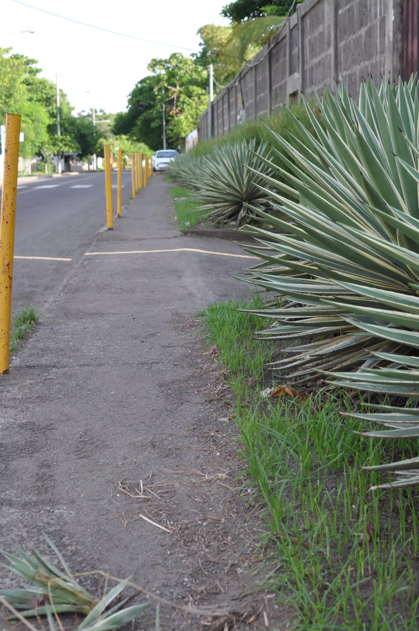 Morning Photowalk of Las Penitas Nicaragua