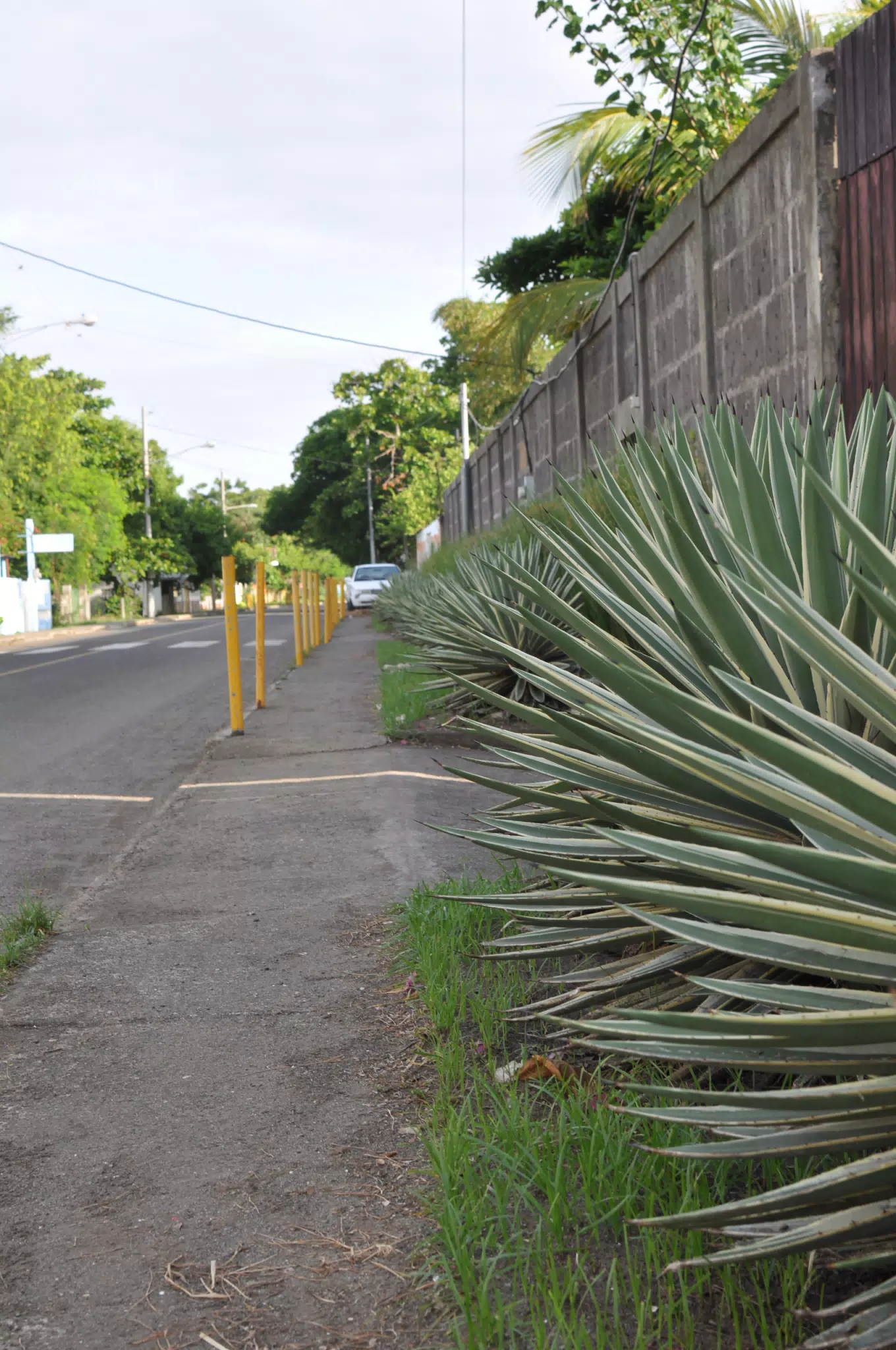Morning Photowalk of Las Penitas Nicaragua