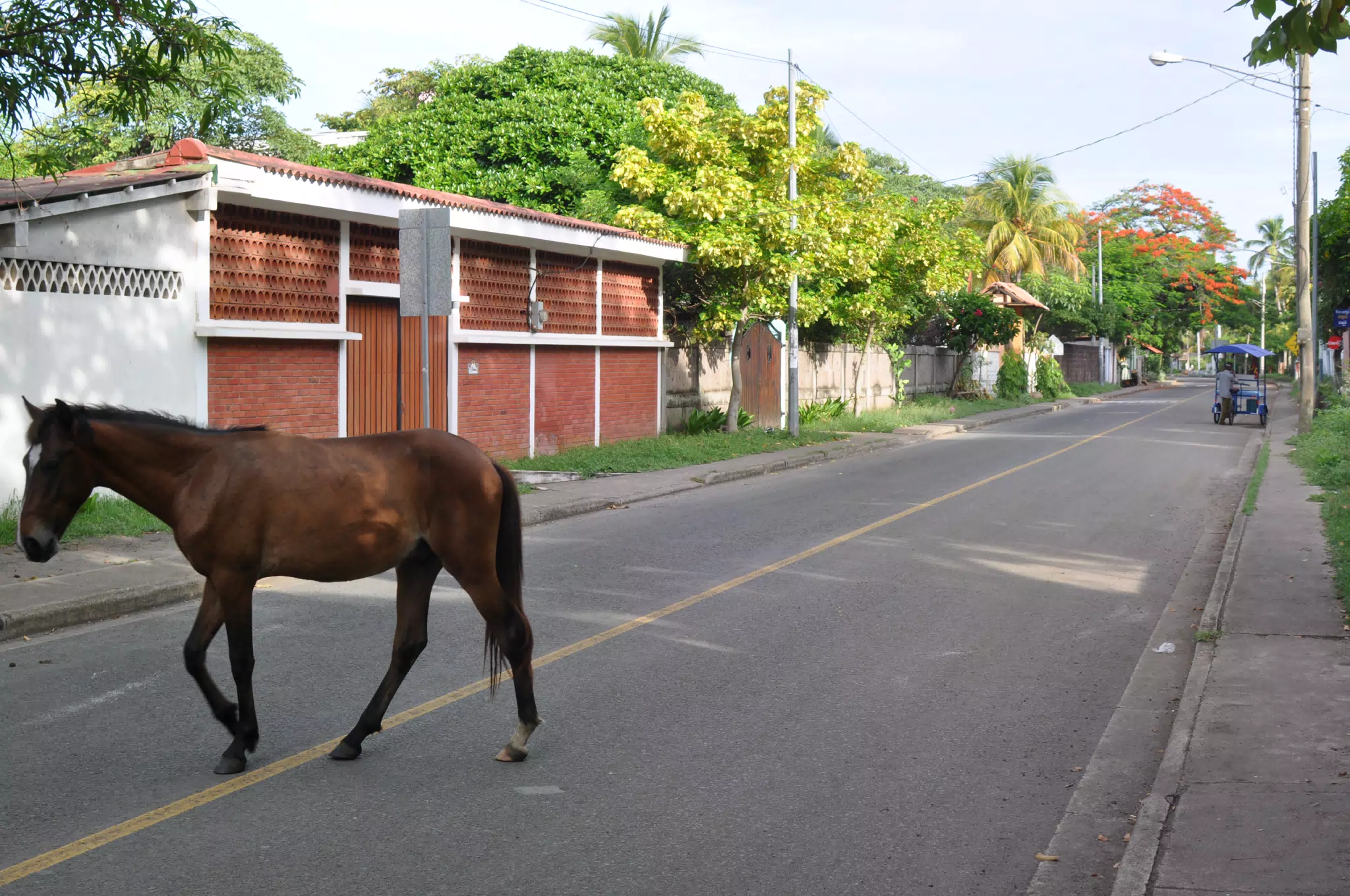 Morning Photowalk of Las Penitas Nicaragua