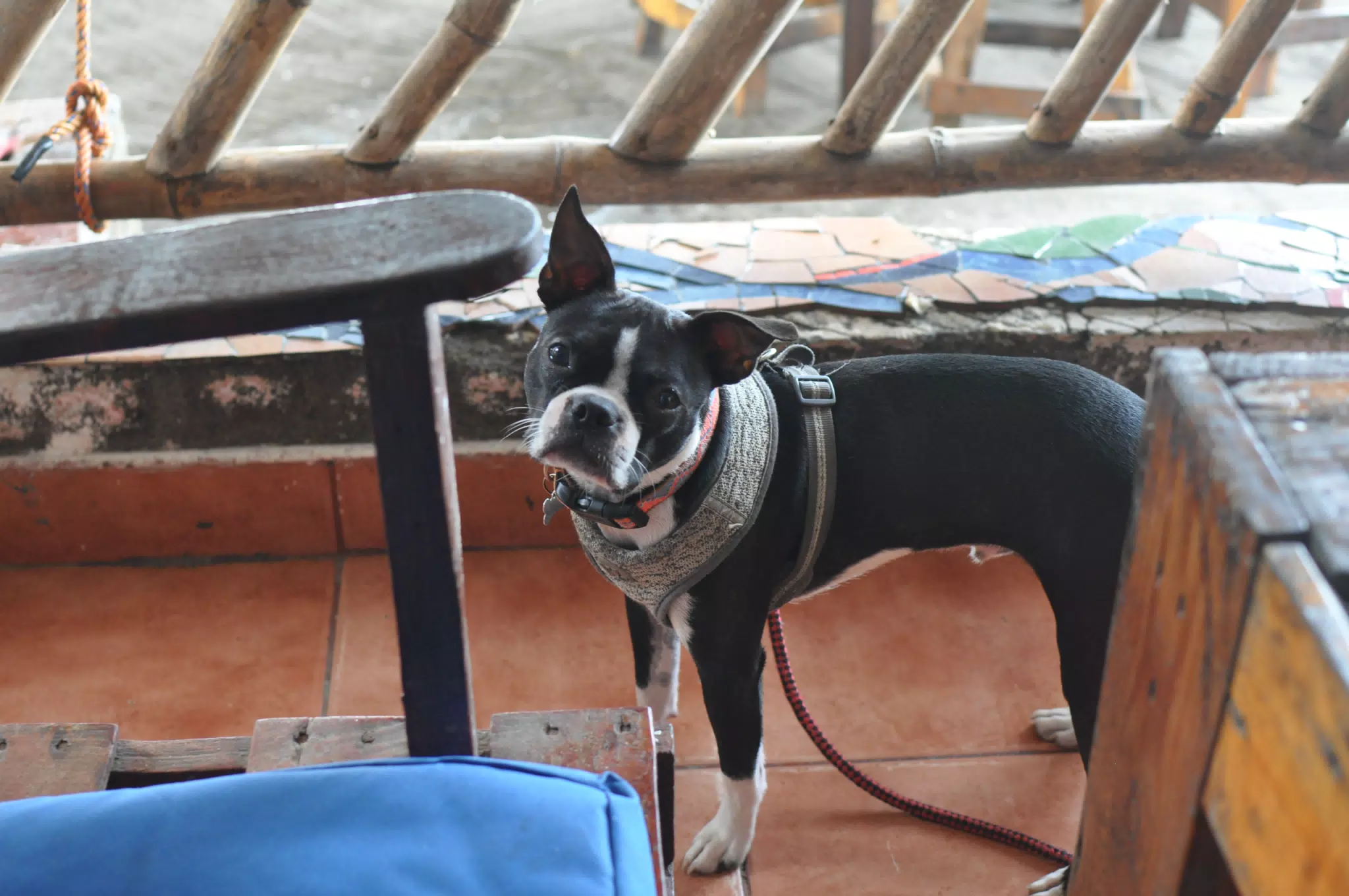 Morning Photowalk of Las Penitas Nicaragua
