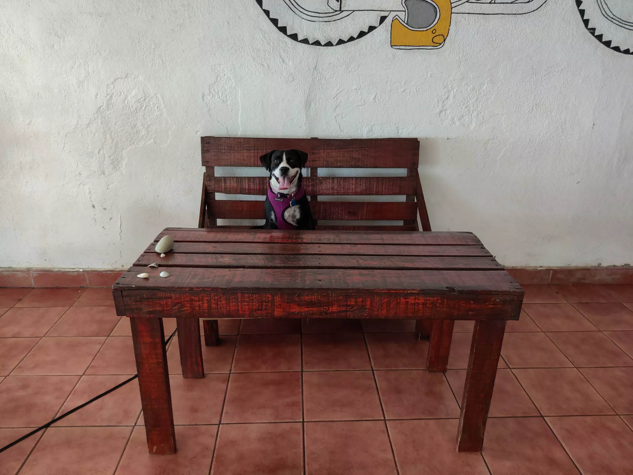 Dog at Work
