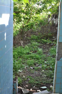 Morning Photowalk of Las Penitas Nicaragua
