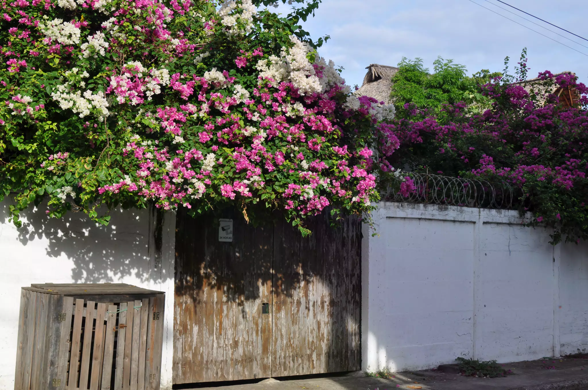 Morning Photowalk of Las Penitas Nicaragua