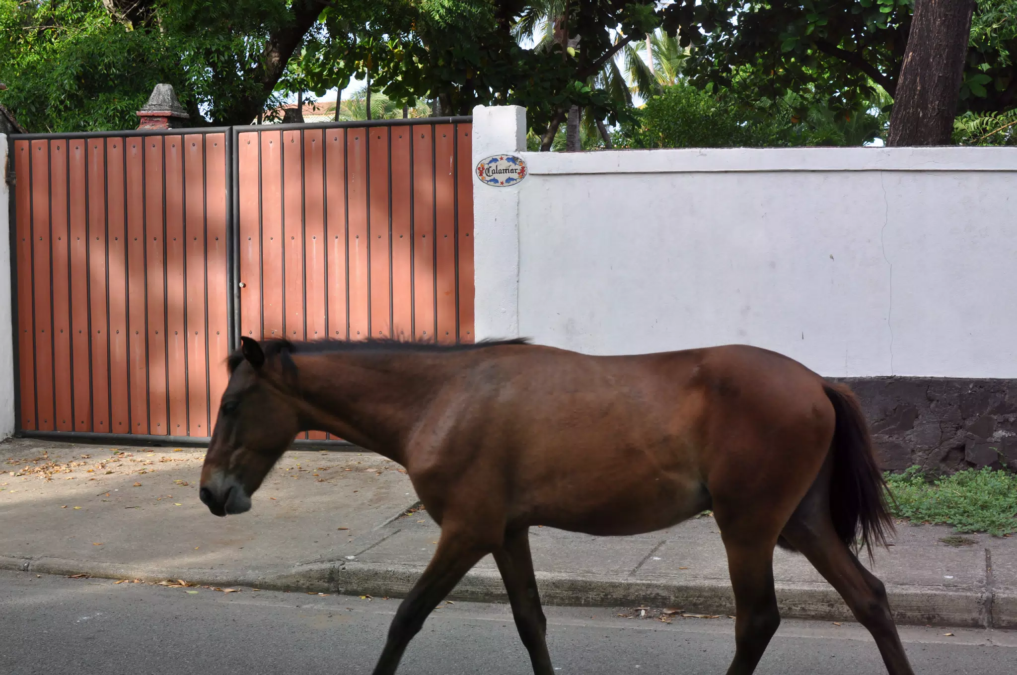 Morning Photowalk of Las Penitas Nicaragua