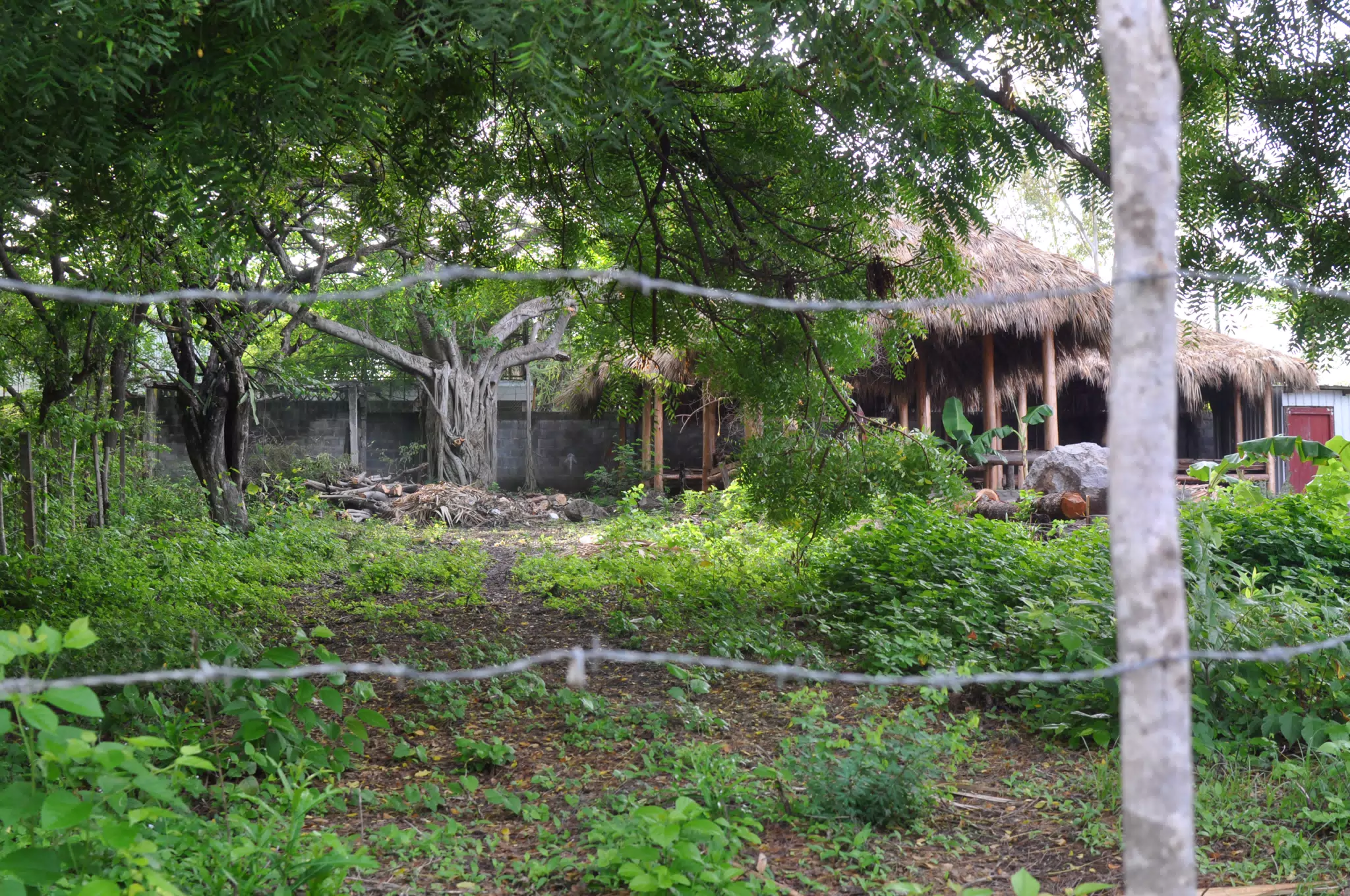 Morning Photowalk of Las Penitas Nicaragua
