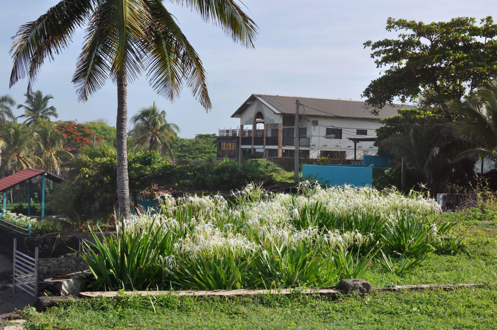 Morning Photowalk of Las Penitas Nicaragua