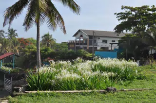 Morning Photowalk of Las Penitas Nicaragua