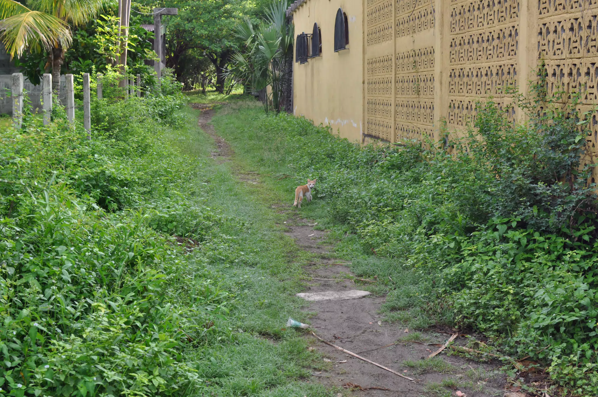 Morning Photowalk of Las Penitas Nicaragua