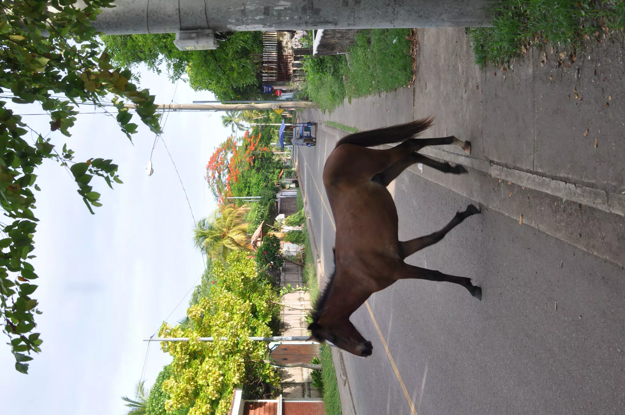 Morning Photowalk of Las Penitas Nicaragua