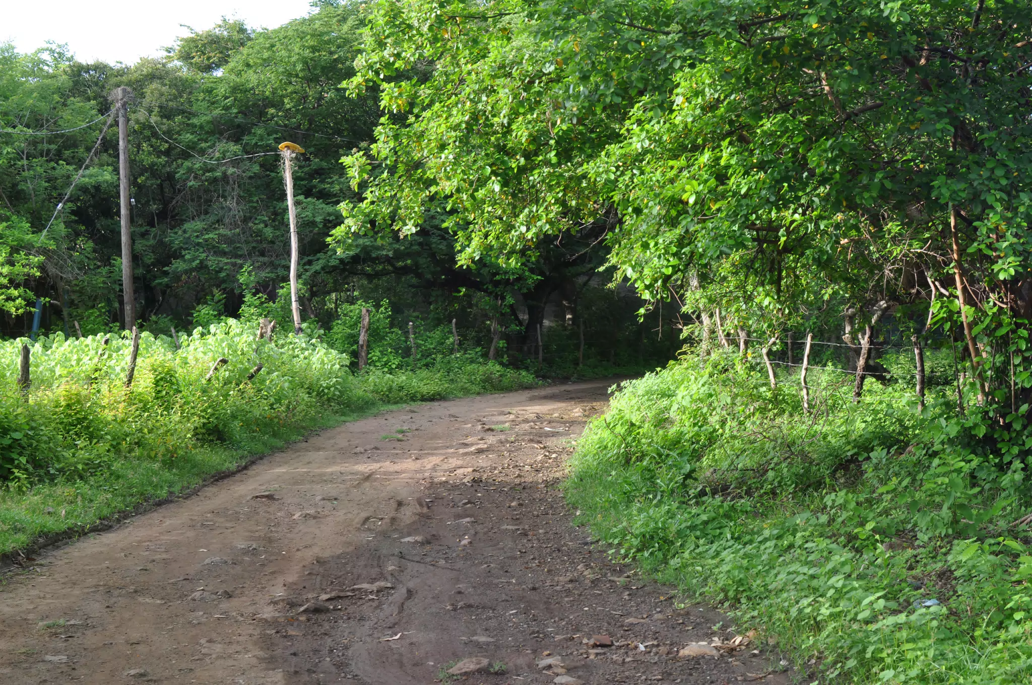 Morning Photowalk of Las Penitas Nicaragua