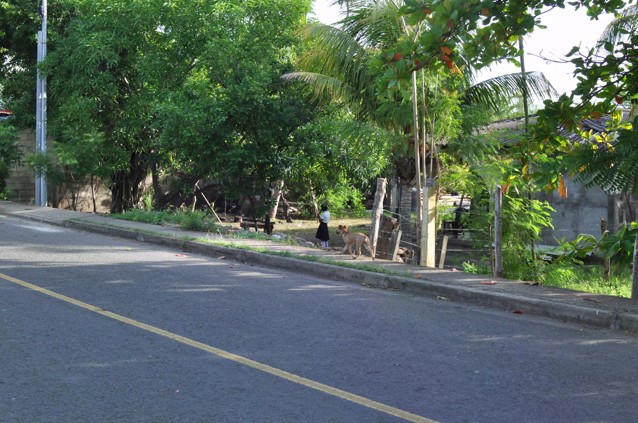 Morning Photowalk of Las Penitas Nicaragua