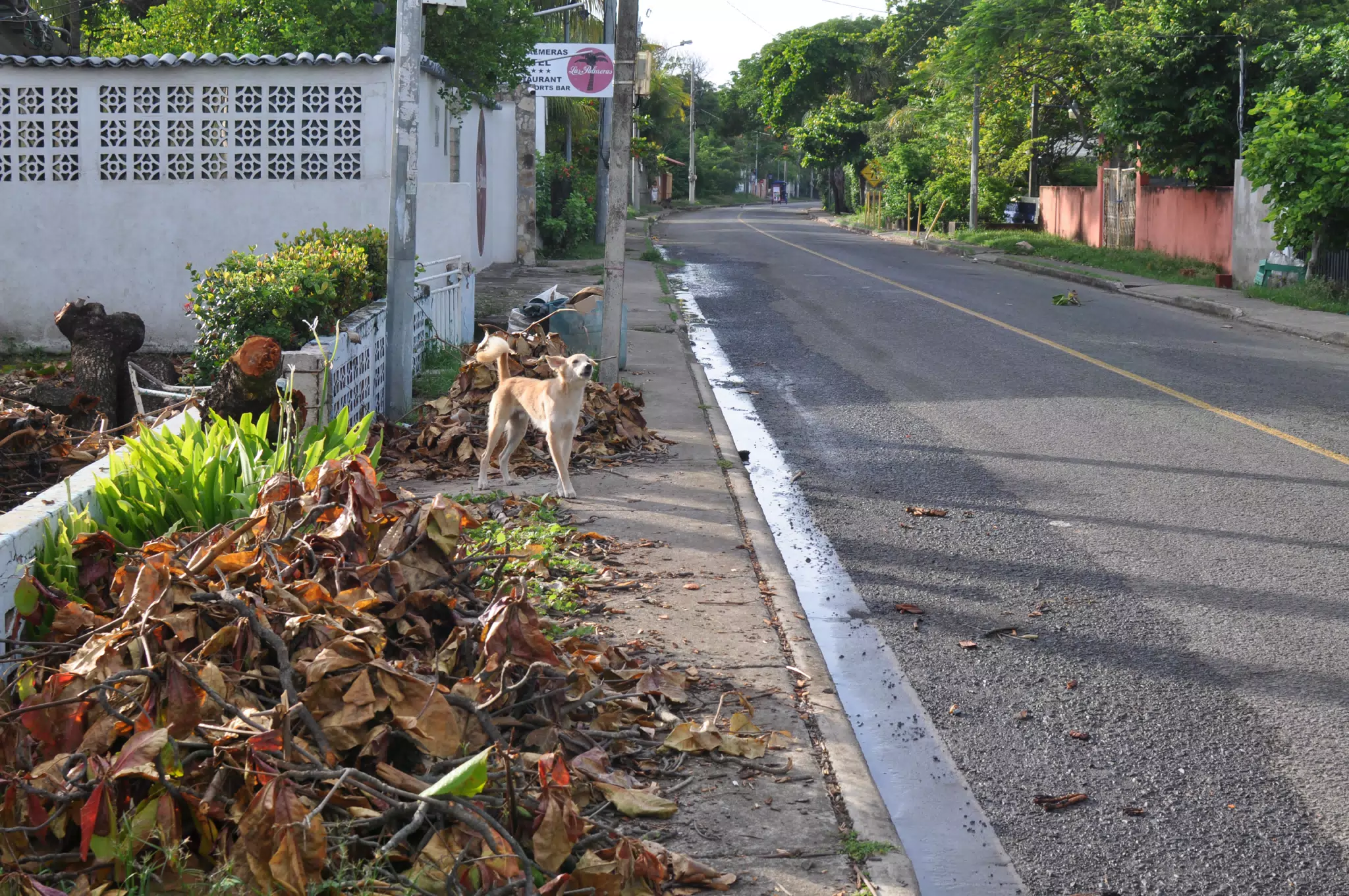 Morning Photowalk of Las Penitas Nicaragua