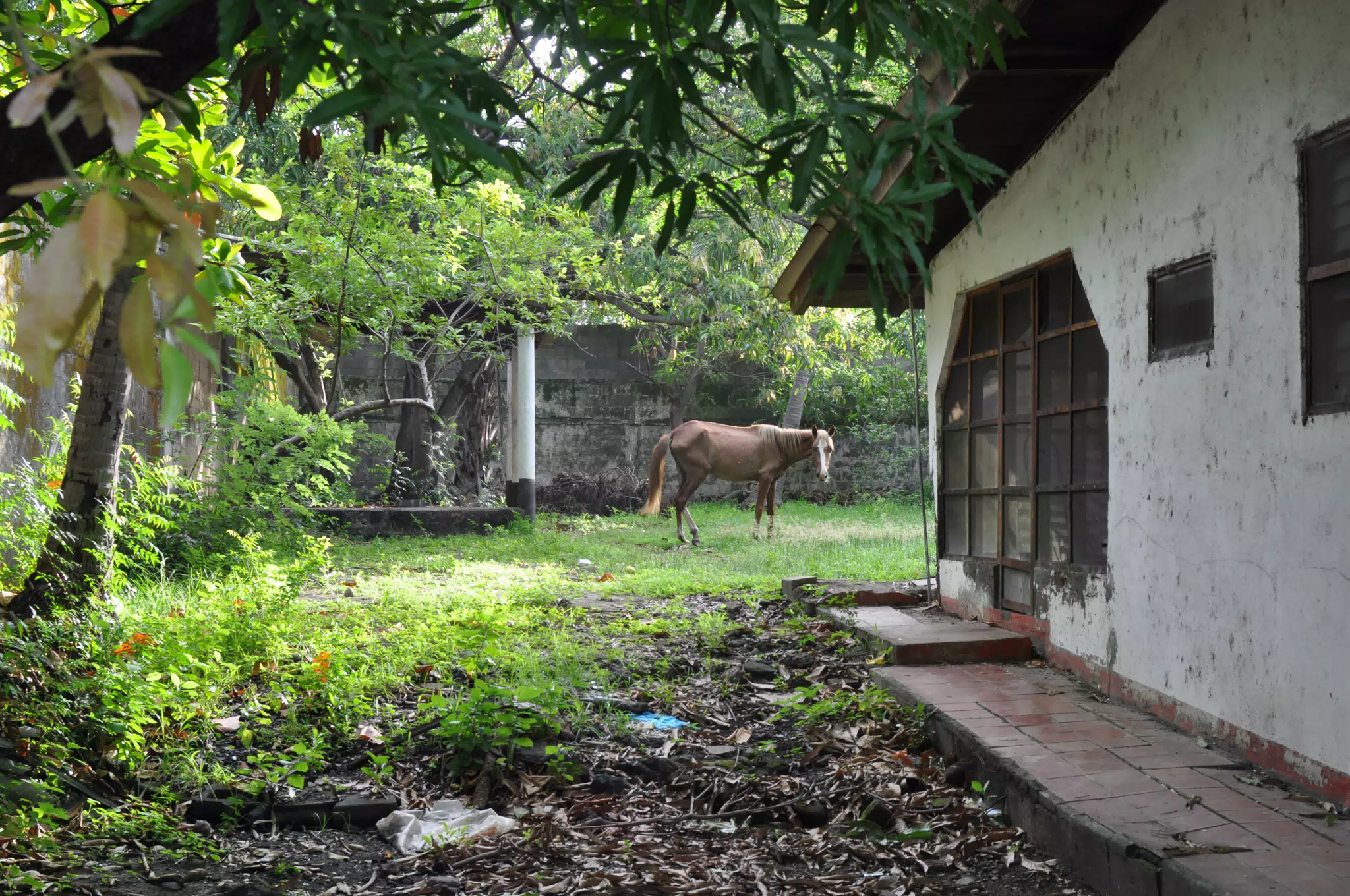 Morning Photowalk of Las Penitas Nicaragua