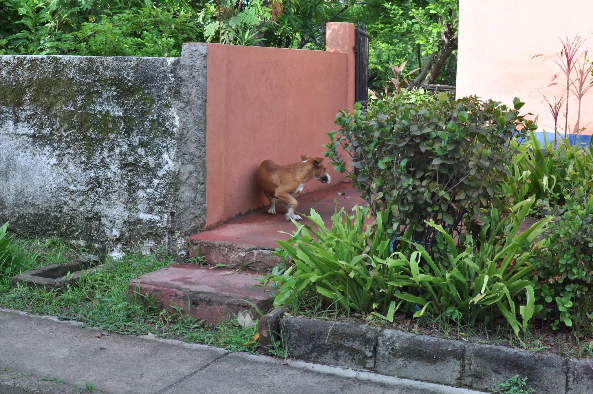 Morning Photowalk of Las Penitas Nicaragua
