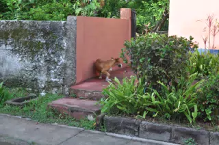 Morning Photowalk of Las Penitas Nicaragua