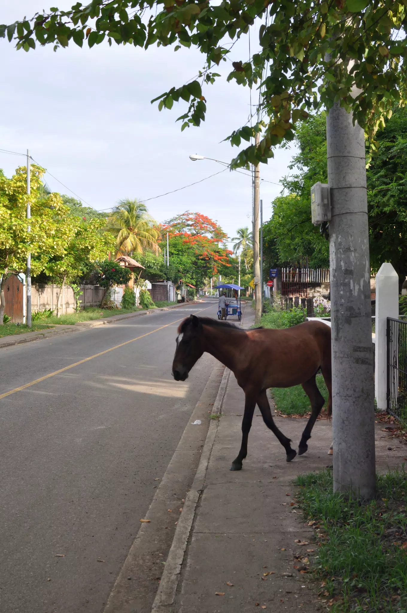 Morning Photowalk of Las Penitas Nicaragua