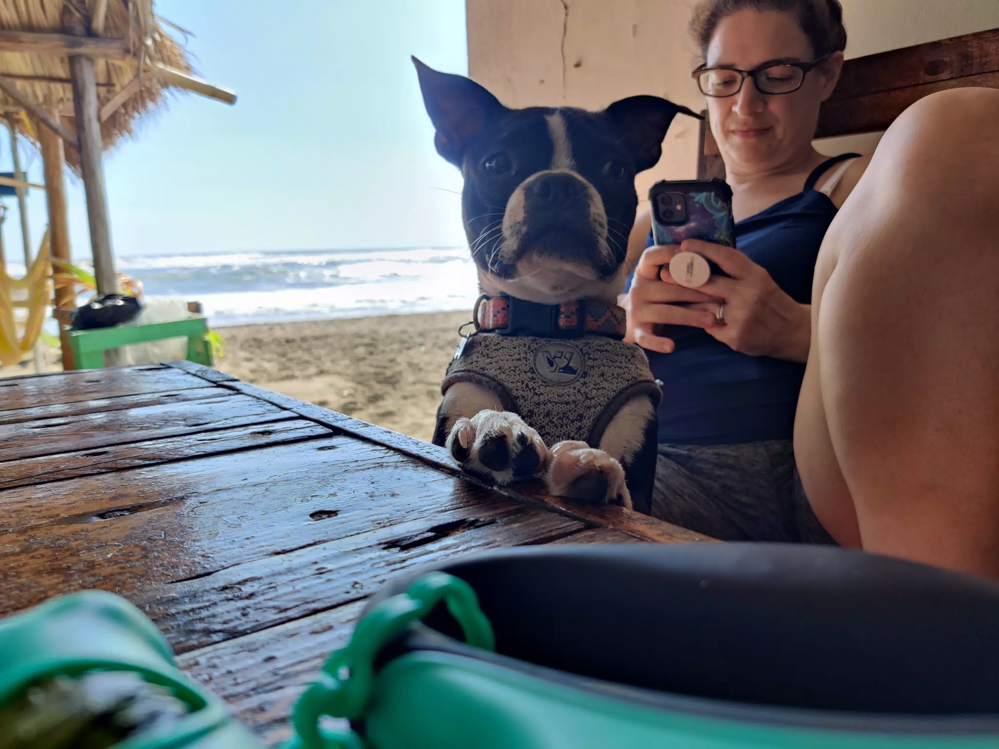 Clive Begging at the Beach