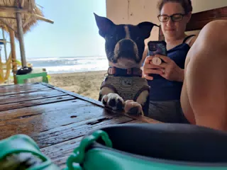 Clive Begging at the Beach
