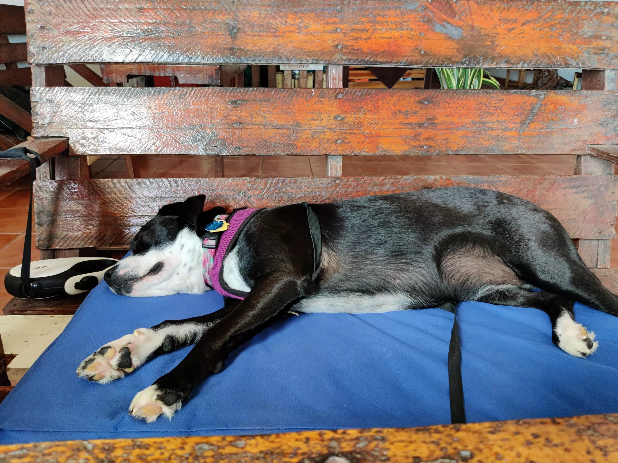 Las Peñitas