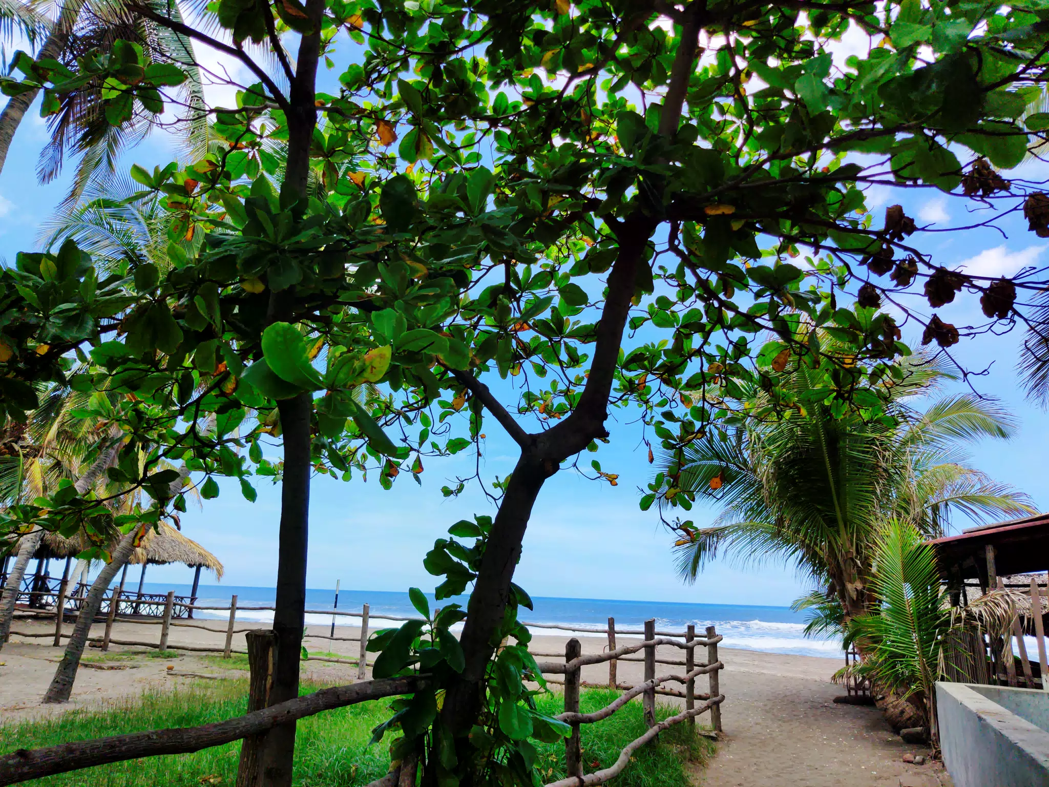 Sky, Tree, Fence, and Beach in Las Peñitas