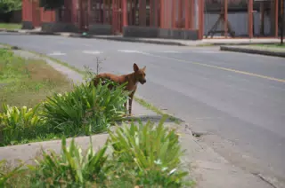 Midday Walk in Las Penitas