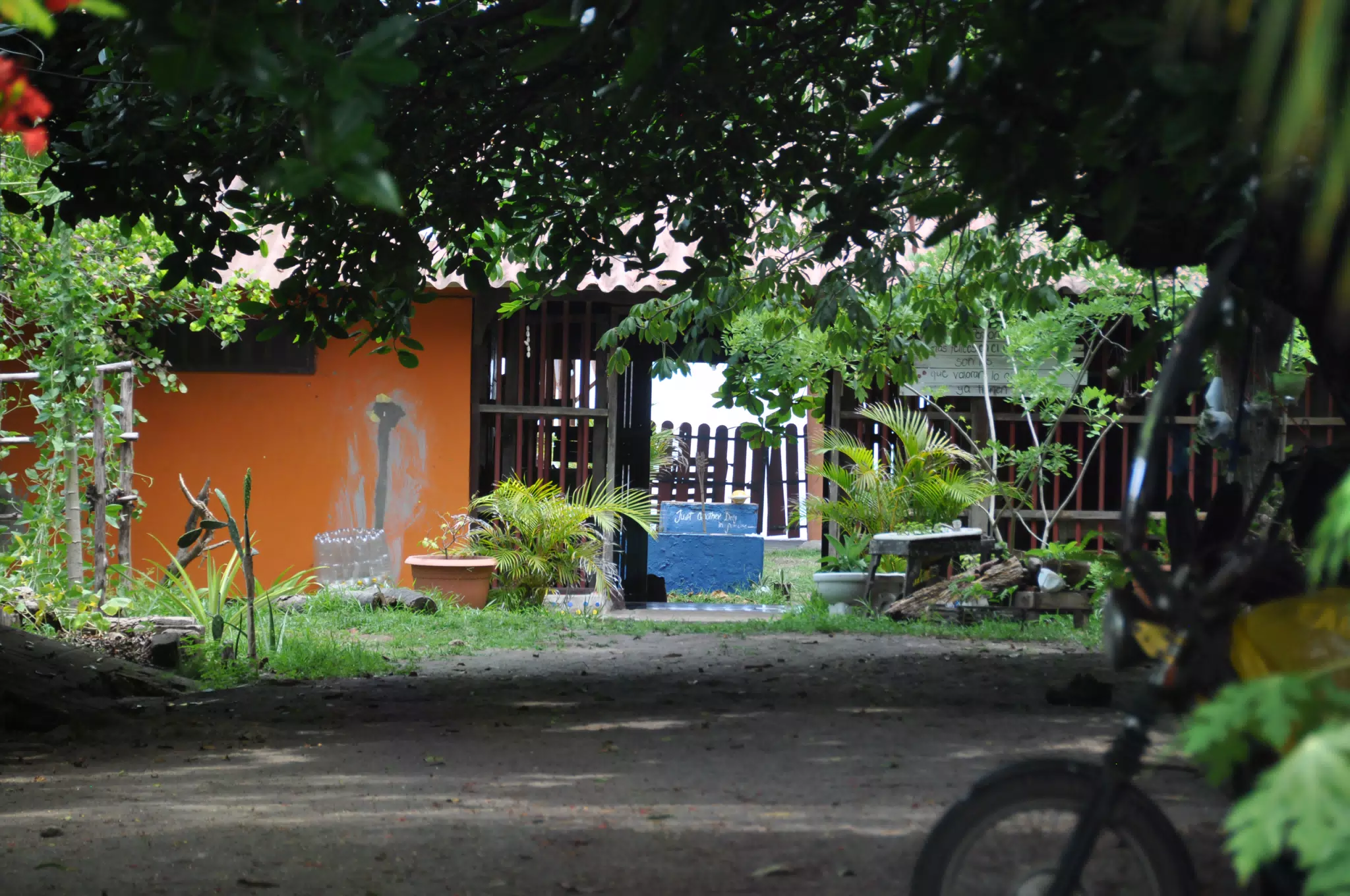 Midday Walk in Las Penitas