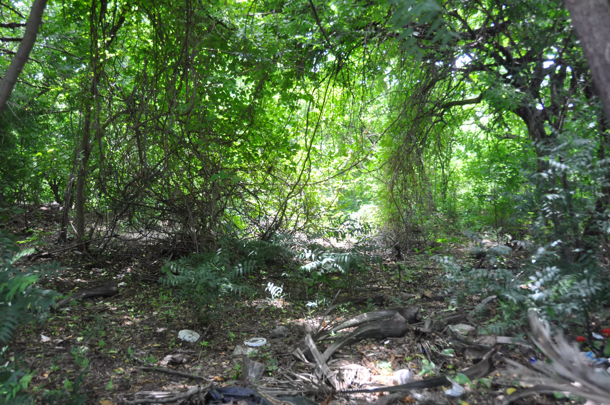 Midday Walk in Las Penitas