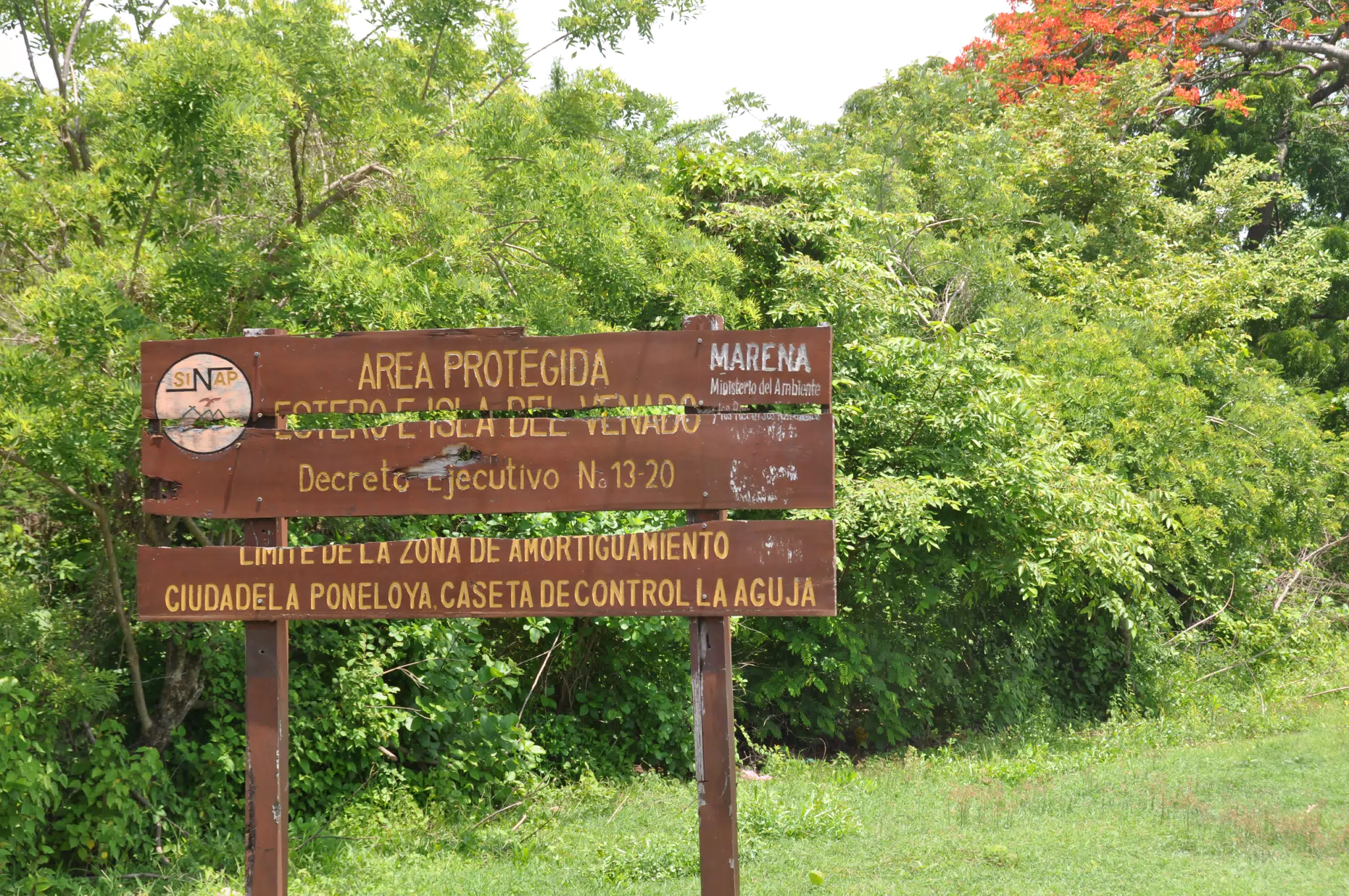 Midday Walk in Las Penitas