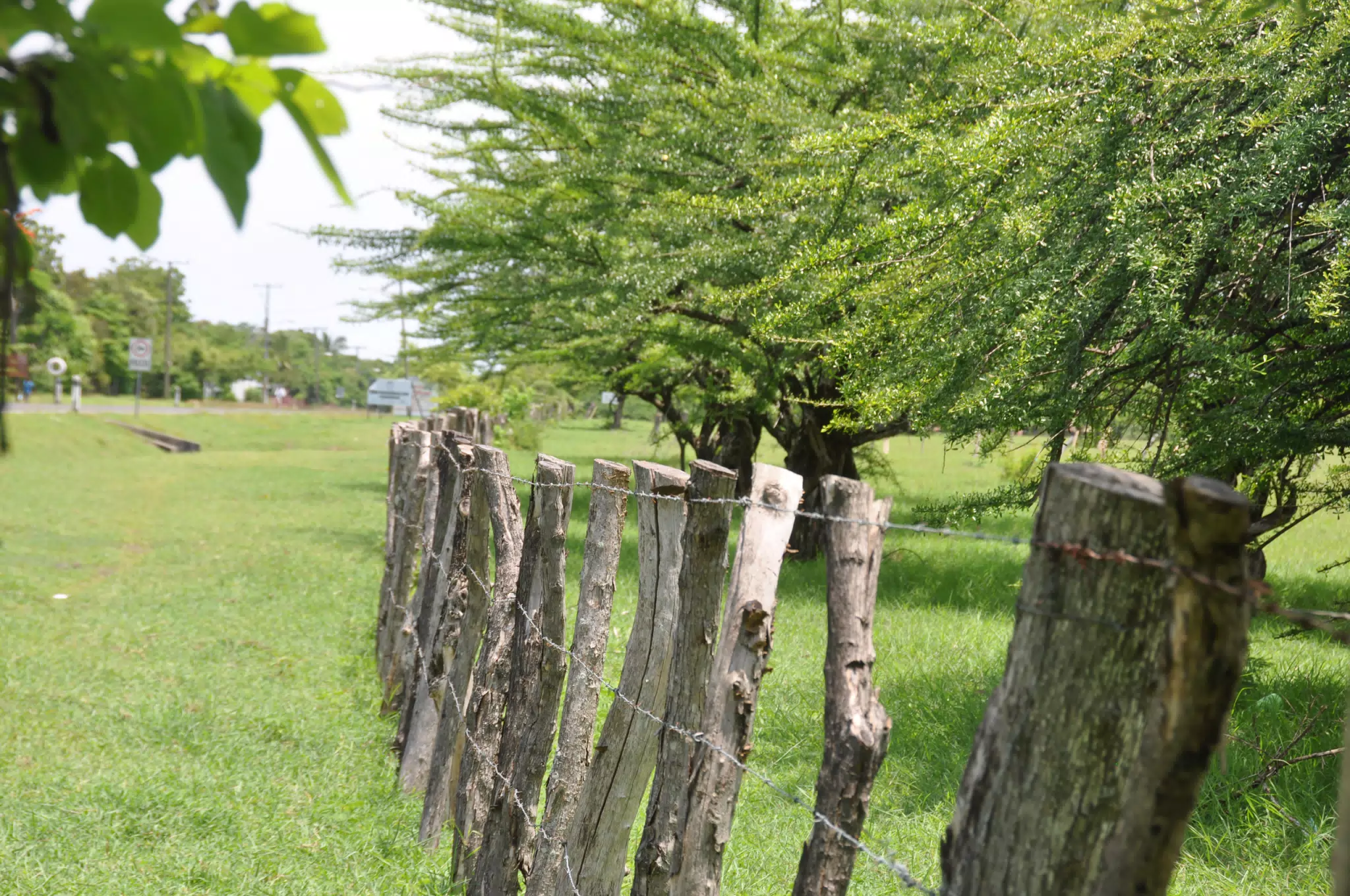 Midday Walk in Las Penitas
