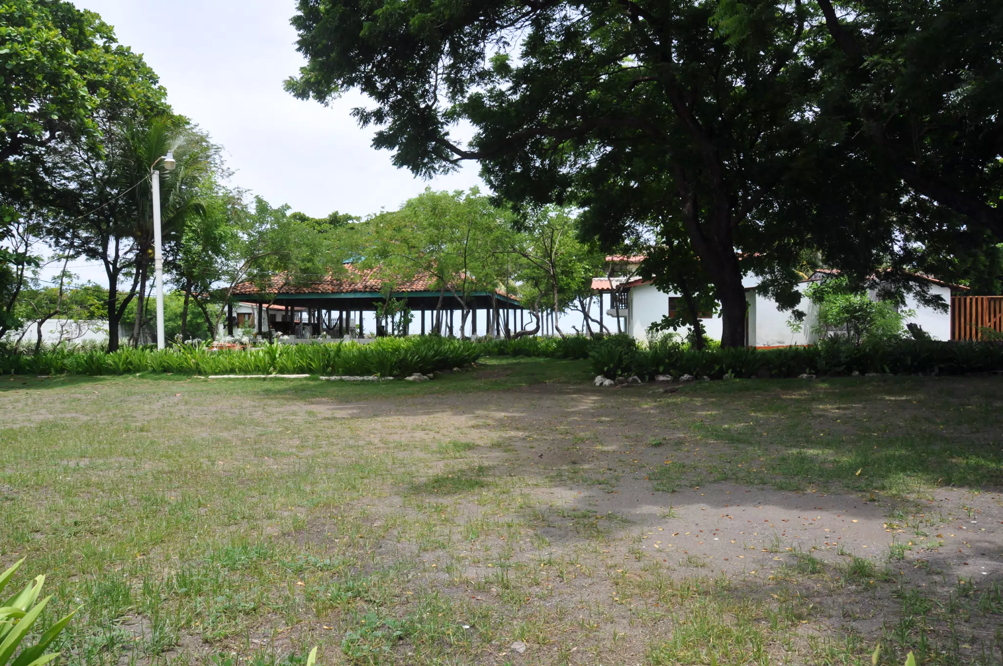 Midday Walk in Las Penitas