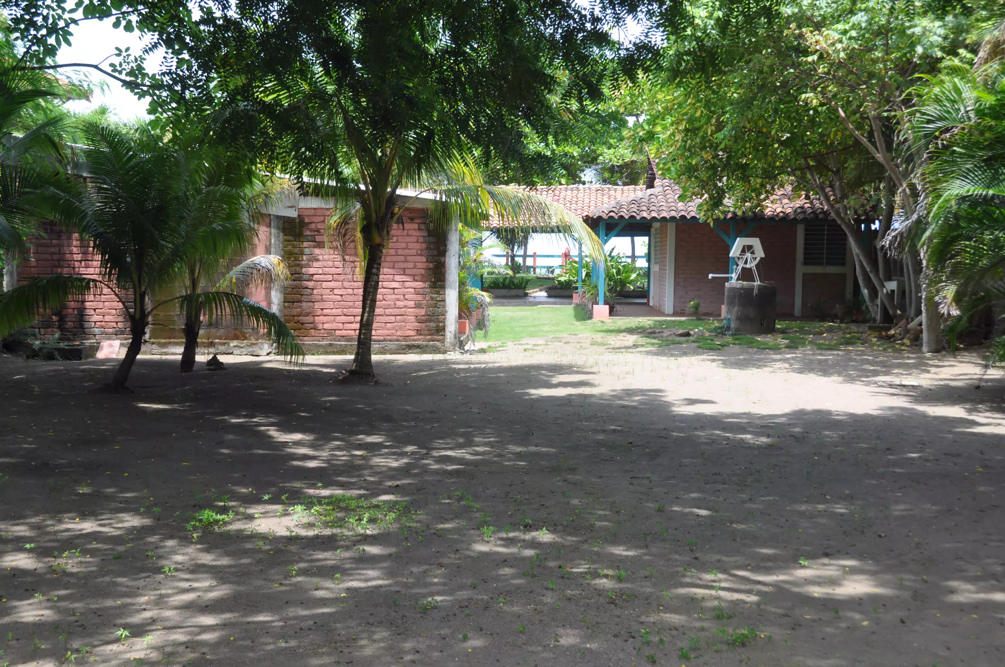 Midday Walk in Las Penitas