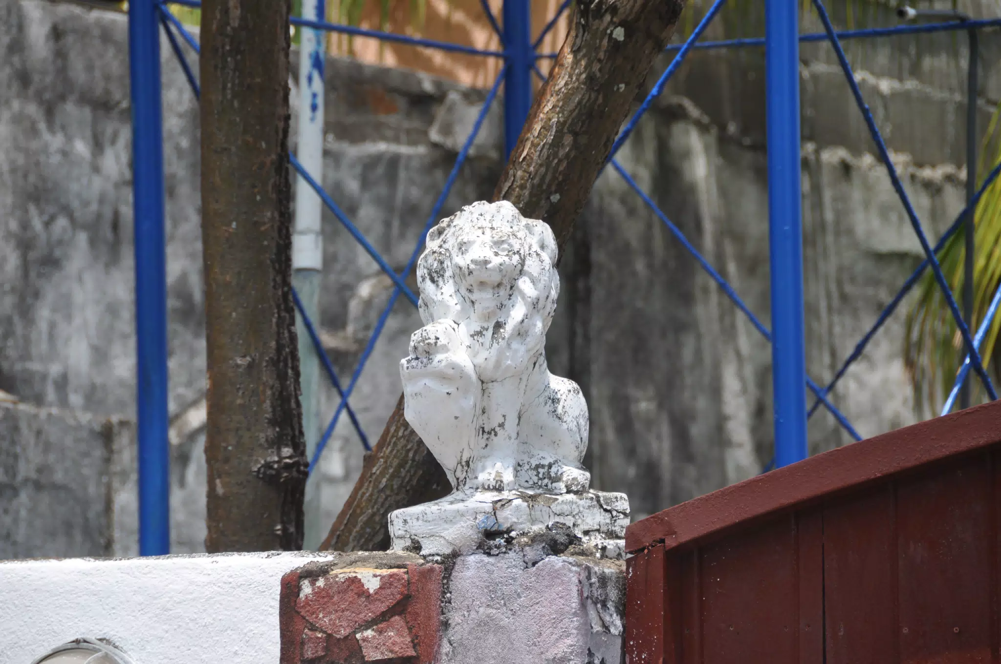 Midday Walk in Las Penitas