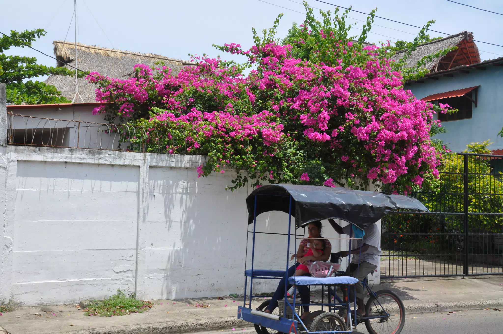 Midday Walk in Las Penitas