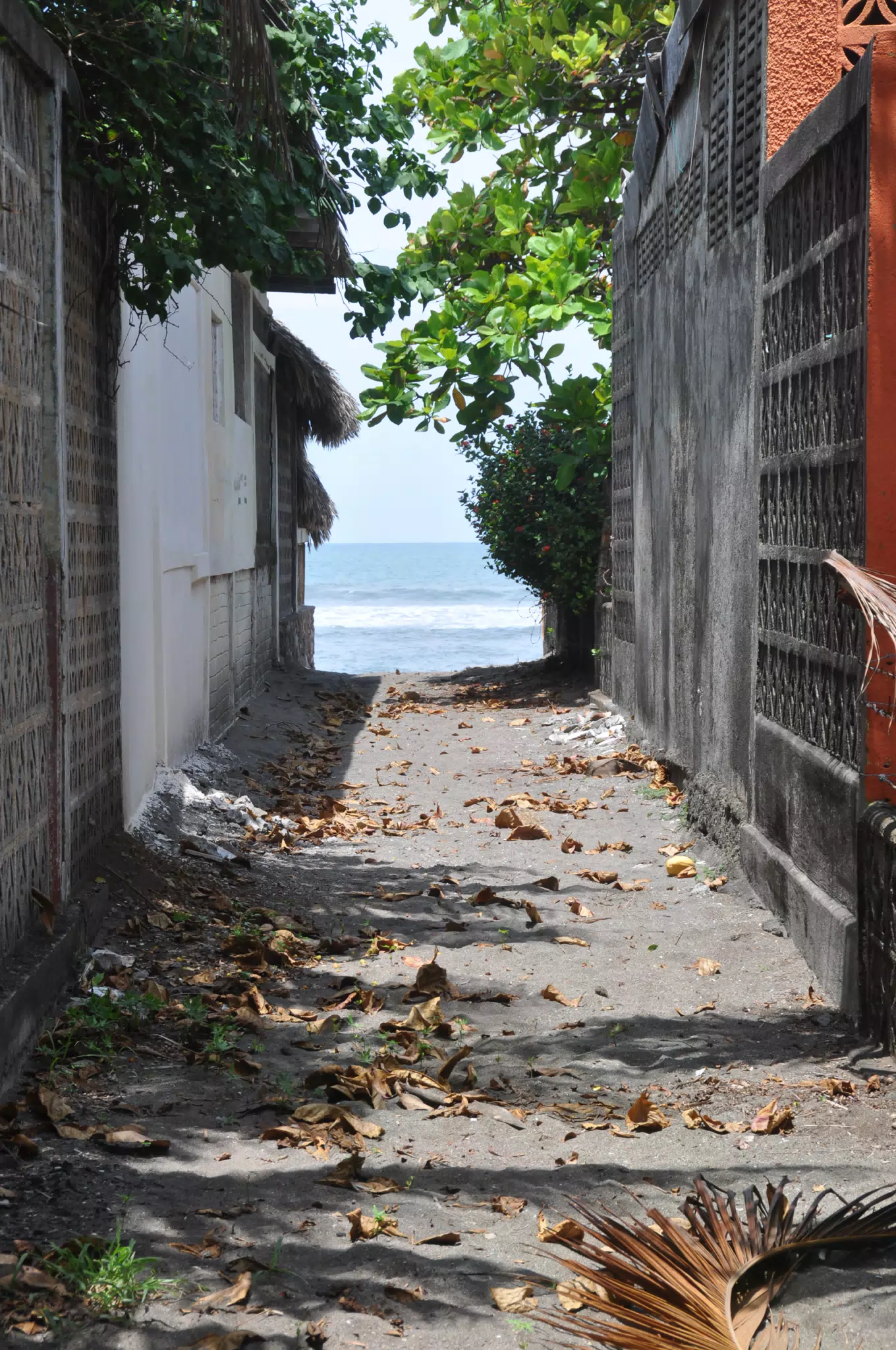 Midday Walk in Las Penitas