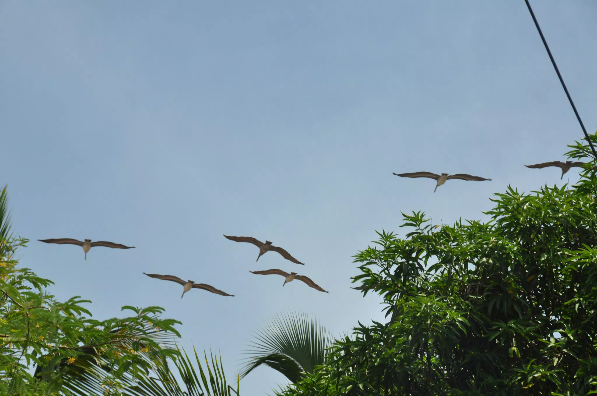 Midday Walk in Las Penitas
