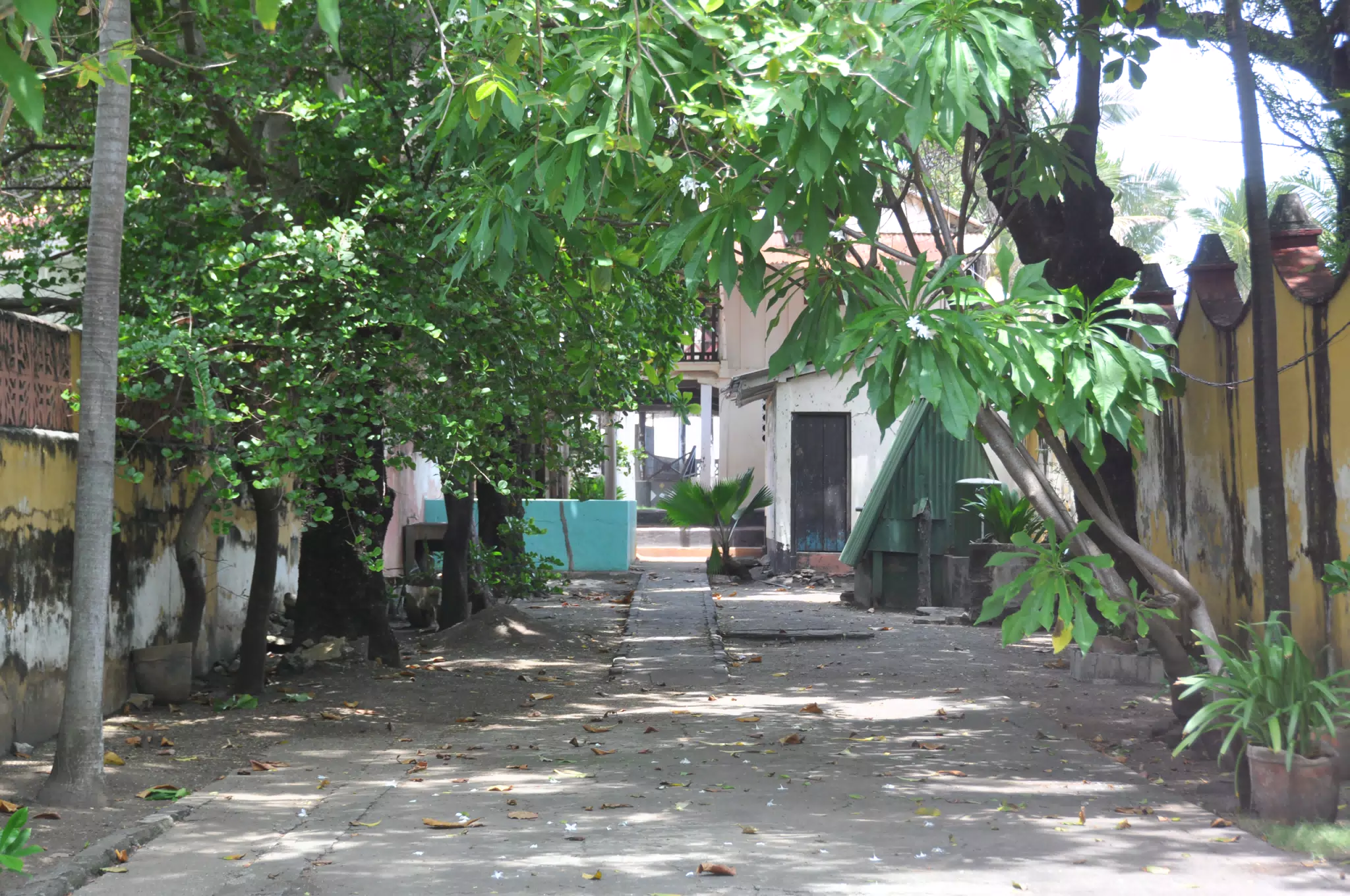 Midday Walk in Las Penitas